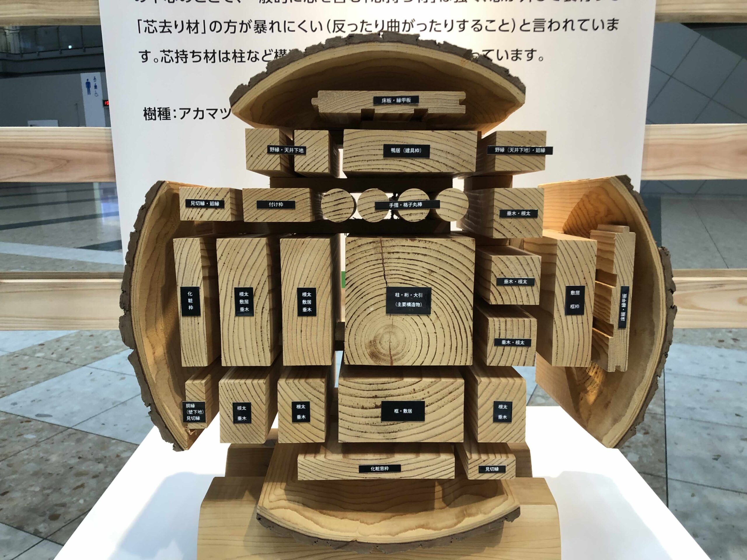 木造化・木質化イベント】WOODコレクション（モクコレ）2024に参加